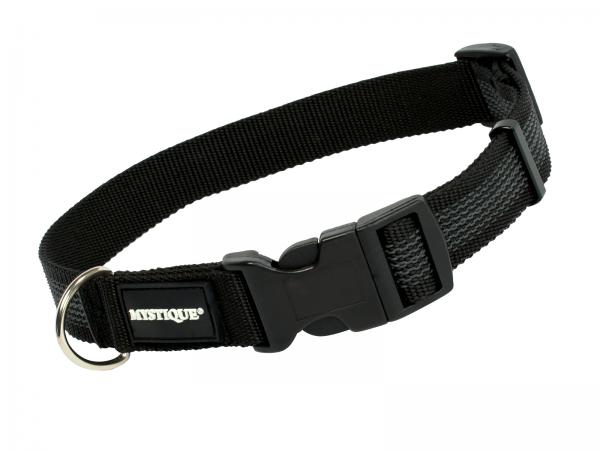 gummiertes Halsband 25mm von Mystique®